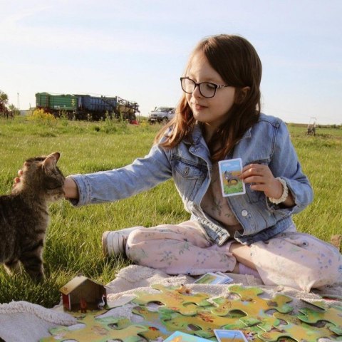 Gra planszowa Szukaj i znajdź Farma 58499 84997