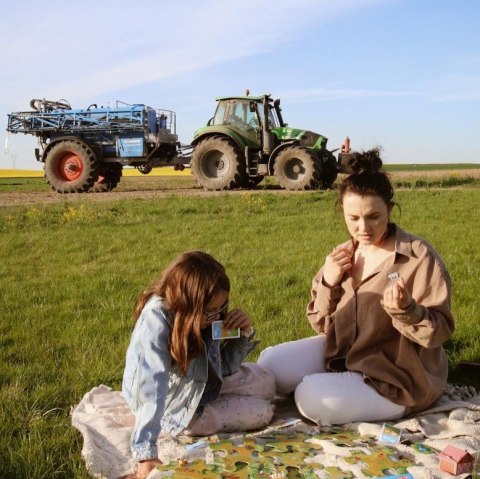 Gra planszowa Szukaj i znajdź Farma 58499 84997