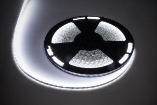 LED0171-2 Sznur diodowy 25m Rebel (1500x5050 SMD) zimny biały wodoodporny, 12V