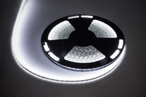 LED0171-2 Sznur diodowy 25m Rebel (1500x5050 SMD) zimny biały wodoodporny, 12V