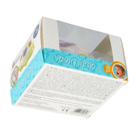 ND39_492756 BAM BAM ZABAWKA SENSORYCZNA ZOLW WB 0/90