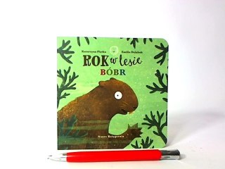 Rok w lesie Bóbr 36404