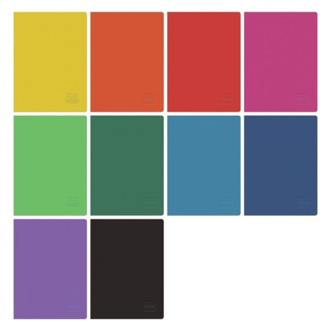 ND39_481769 ZESZYT B5/96K KRAT RAINBOW HER FOL A 5