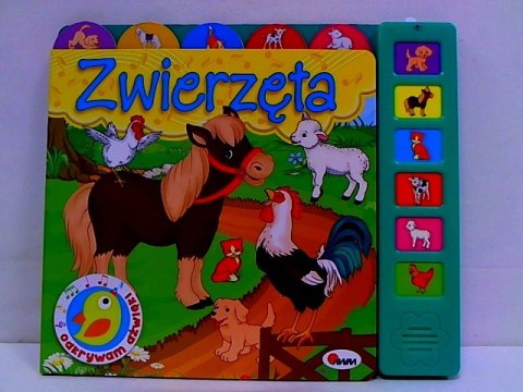 Odkrywam dźwięki Zwierzęta 58.11.13 62512