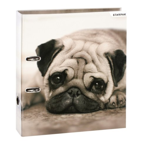 ND39_480718 SEGREGATOR A4/70 PSY STK PUD1/20