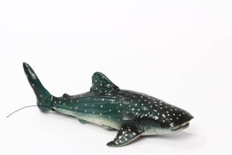 Rekin Wielorybi 21cm 21571 15717