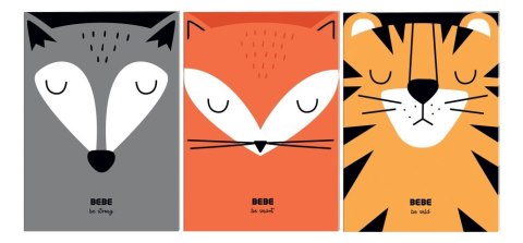 ND39_507069 ZESZYT B6/32K GLAD B&B FRIENDS BOYS FOL A 10