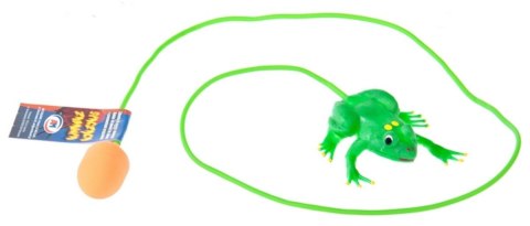 ND39_345888 ZABA SKACZACA GUM MAP 108A