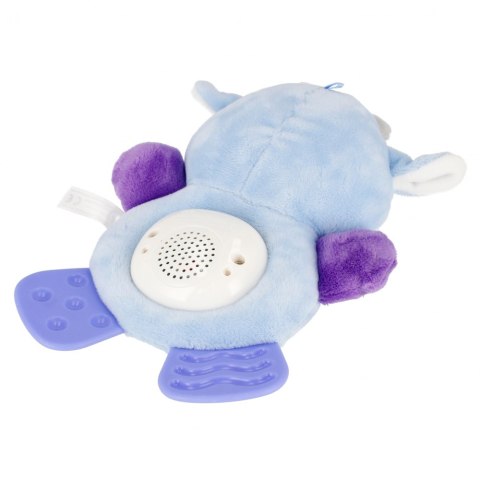 ND39_499204 BAM BAM MUZYCZNA KROWKA B/O WB 18/36