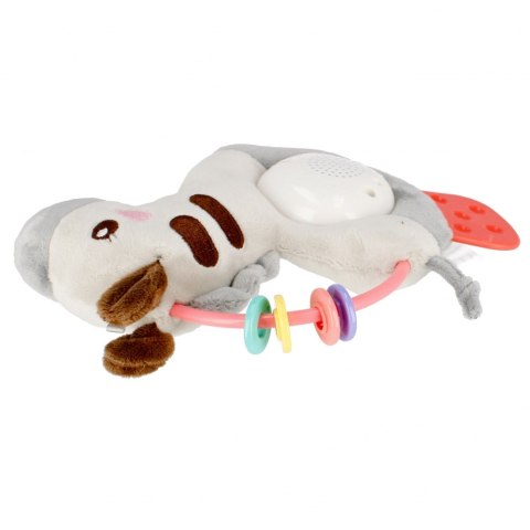 ND39_503087 BAM BAM MUZYCZNA ZEBRA B/O WB 18/36