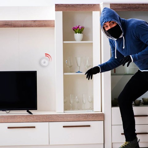 ND38_8711252265551 Alpina - Inteligentny czujnik ruchu PIR sieć Zigbee