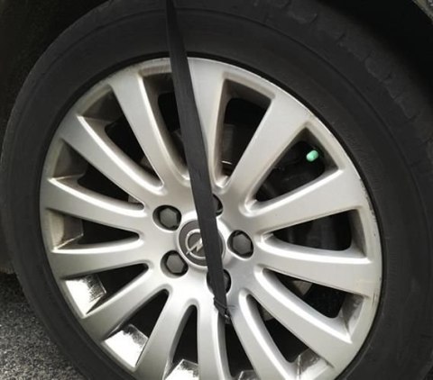 ND12_12278 Osłona antyszronowa na szybę OA4565 5902802901866