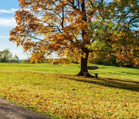 ND12_15004 Huśtawka bocianie gniazdo 100 cm czarna 5902802919069