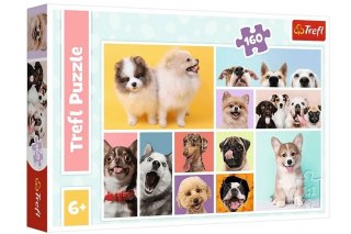 PUZZLE 160 Psia przyjaźń /Trefl 15412