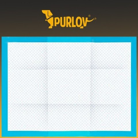 ND12_15601 Podkład higieniczny chłonny- 100szt. + woreczki 5900779939660