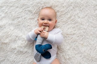 Jamiś piszczek z gryzakiem granat 714 67140