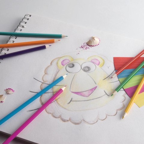 ND38_E8711252319476 Topwrite - Zestaw kredek ołówkowych dwustronnych 24 kolory/12 szt.