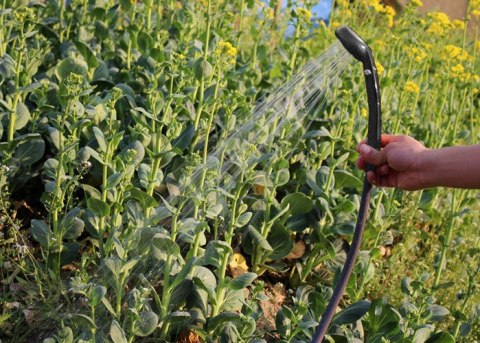 ND12_13800 Prysznic turystyczny przenośny 5902802912565