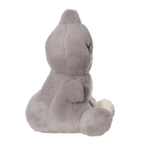 ND38_61511 Line Friends BT21 - Pluszowa maskotka 13 cm VAN Palm Pals