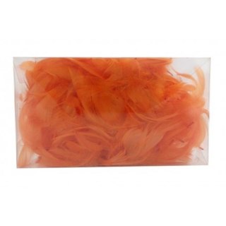 ND39_384864 OZDOBA DEK PIORKA POM 514-494 WB