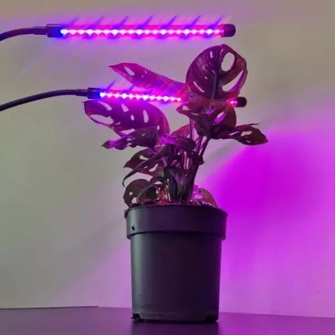 ND12_16032 Lampa 20 LED 2szt. do wzrostu roślin Gardlov 19241 5900779941045