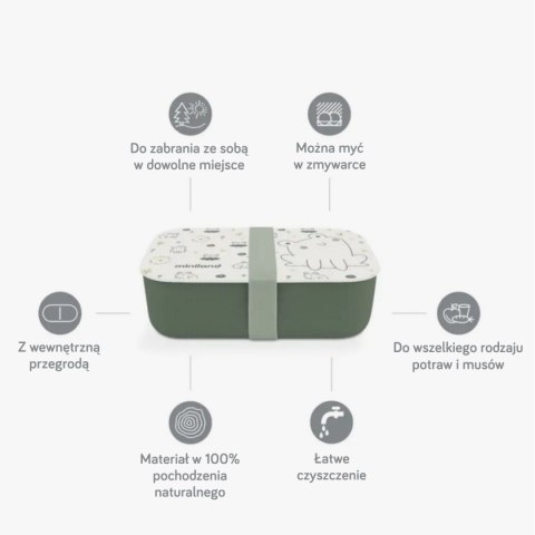 ND19_ML89459 Pojemnik śniadaniowy ECO-friendly 1L - Żabka
