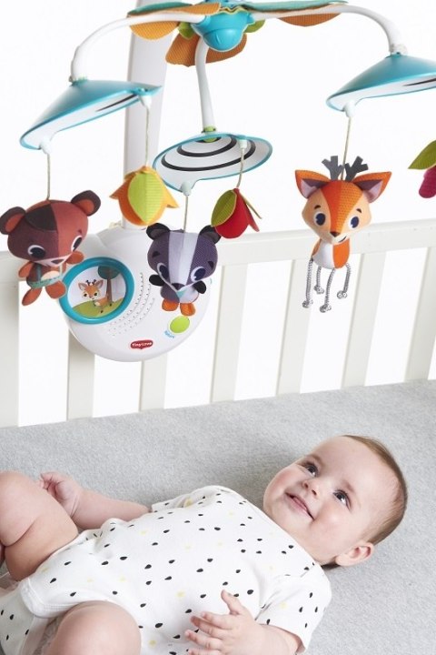 ND19_TL1305106830 Karuzela klasyczna - Leśna Kraina