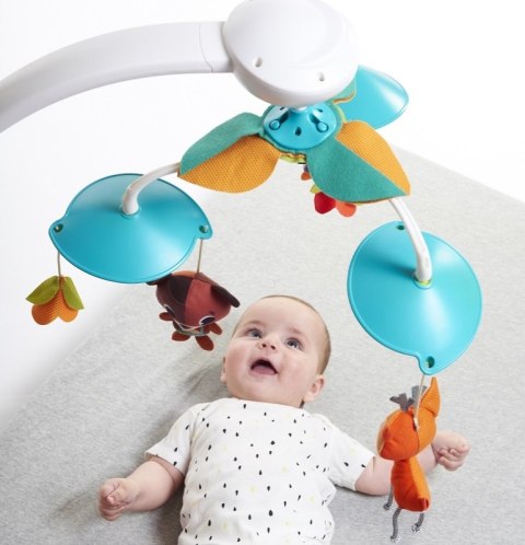 ND19_TL1305106830 Karuzela klasyczna - Leśna Kraina