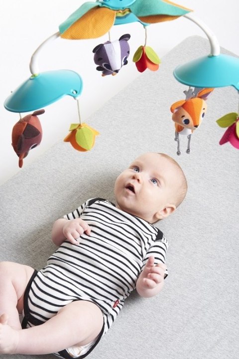 ND19_TL1305106830 Karuzela klasyczna - Leśna Kraina