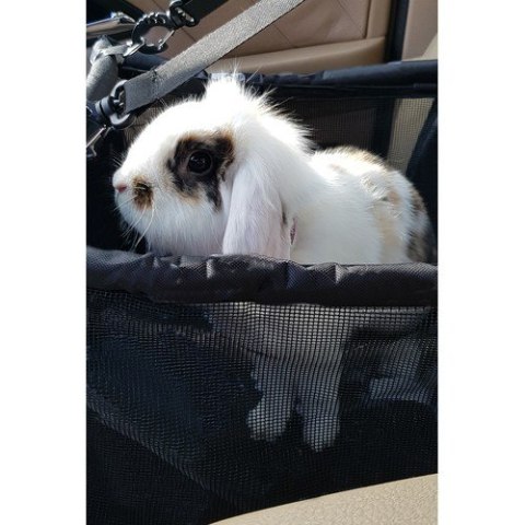 ND12_16617 Transporter dla psa na siedzenie Purlov 20973 5904665713136