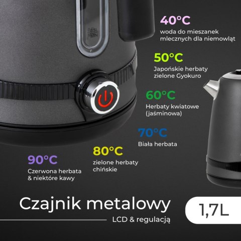 AD 1295 grey Czajnik metalowy 1,7L z LCD & regulacją temperatury