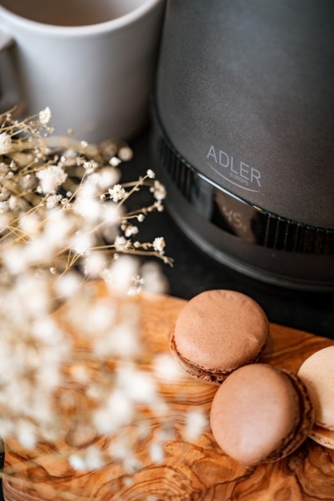 AD 1295 grey Czajnik metalowy 1,7L z LCD & regulacją temperatury