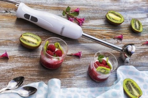 MS 4619 Blender ręczny