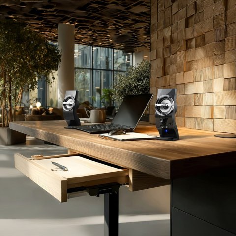 Głośniki komputerowe 6W Audiocore, USB, black, AC805