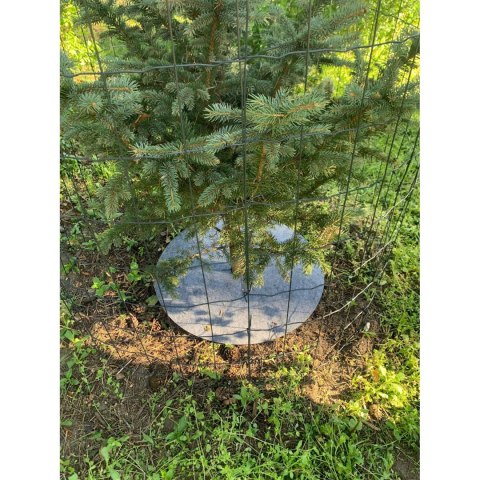 Zestaw krążków antychwastowych 6 szt. Bertoni - 60 cm, szary