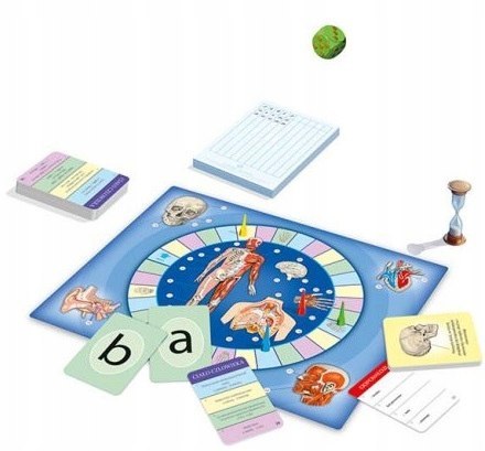 Ciało człowieka quiz 05820