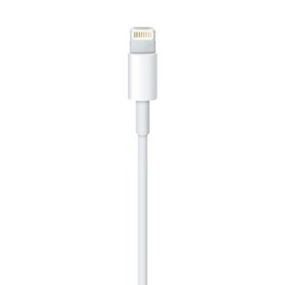 Lightning to USB Cable (0.5 m)