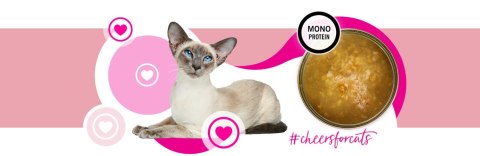 3Coty TURKEY Cheers! Complementary feed for cats 75g