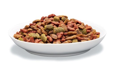 PREVITAL tuńczyk karma sucha dla kotów 1,4kg