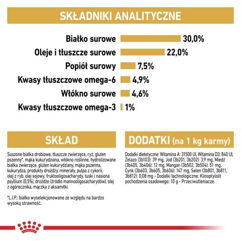 Royal Canin FBN Persian Adult - sucha karma dla kota dorosłego - 4kg