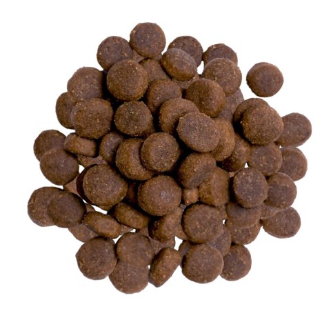 BULT Karma sucha z indykiem dla dorosłych psów 3kg