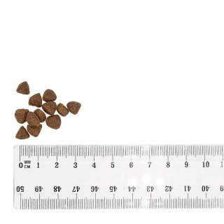 BULT Karma sucha z kaczką i indykiem szczeniąta 3kg