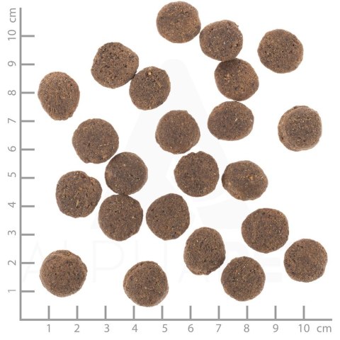 WOLFSBLUT VETLINE HYPOALLERGENIC 12KG