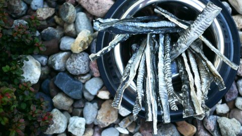 BULT Skóra z dorsza dla psa 50g