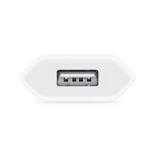 Apple 5W Power USB-A Adapter