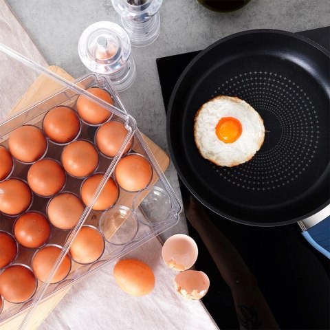 Pojemnik na Jajka Lodówka Duży 24 Sztuki VILDE Piętrowany 32 x 21 cm