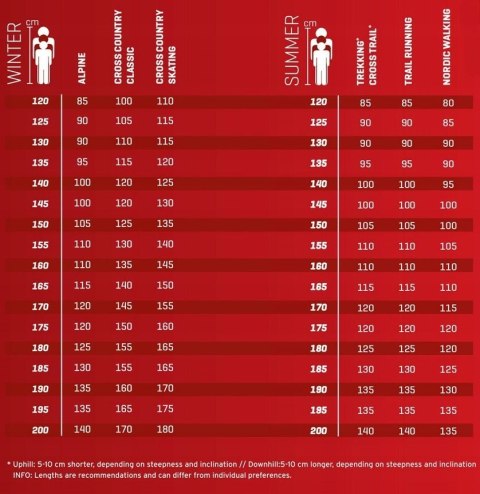 LEKI Kije BOLD LITE S black 115