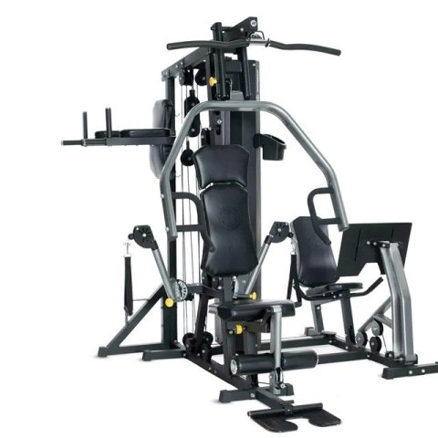 Atlas HORIZON FITNESS Torus 5