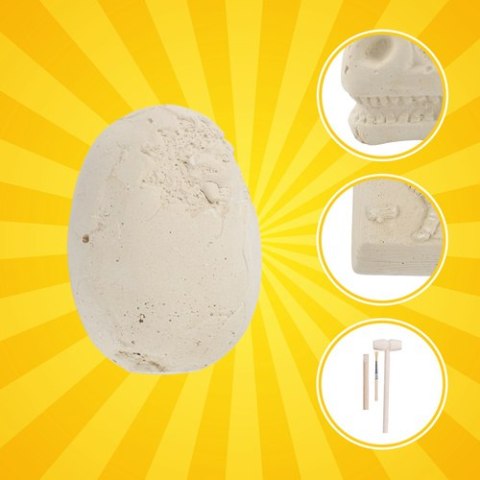 Wykopaliska dinozaurów - zestaw 5w1 Kruzzel 26771