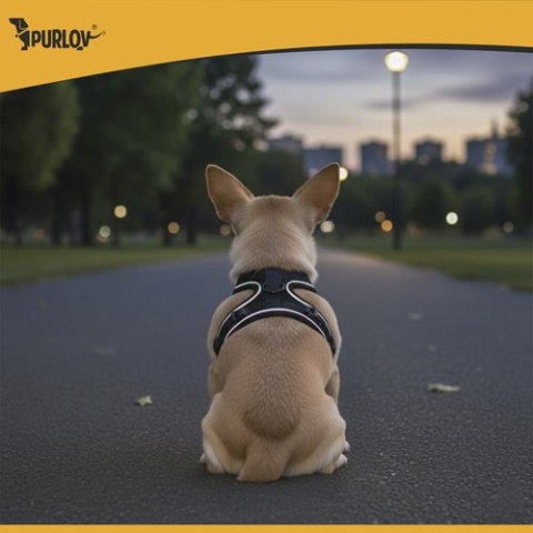 Szelki bezuciskowe dla zwierząt XS Purlov 26869